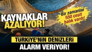 Türkiye'nin denizlerinde neler oluyor?