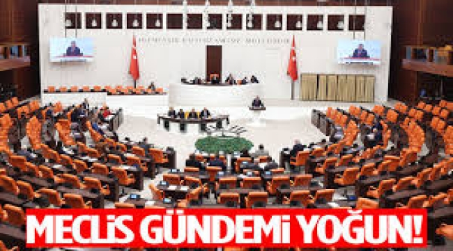Yeni haftada Meclis'in gündemi yoğun