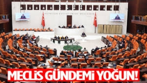 Yeni haftada Meclis'in gündemi yoğun
