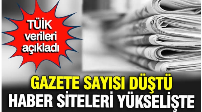 İnternet siteleri gazeteleri yakaladı