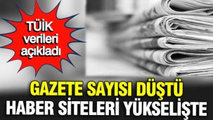 İnternet siteleri gazeteleri yakaladı