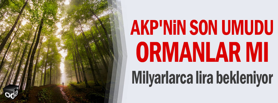 AKP'nin son umudu ormanlar mı