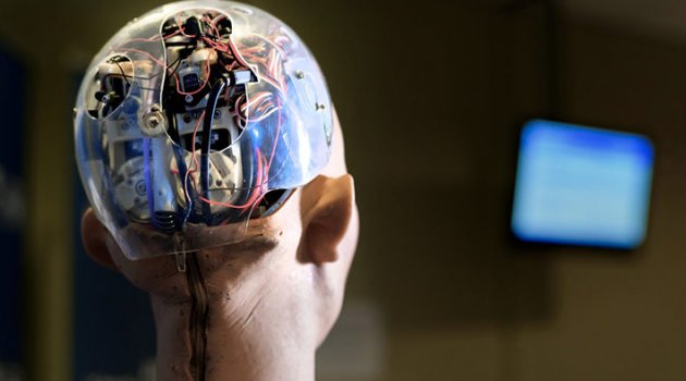 Avrupa'da bir ülke robotlara vatandaşlık vermeyi planlıyor