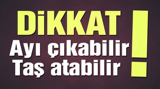 Ayı, köy yolunda önüne çıkan aracı taşladı