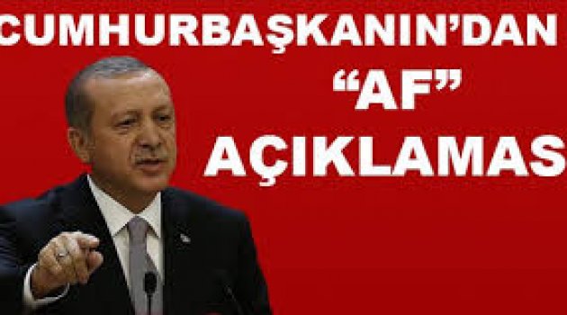 Başkan Erdoğan'dan kritik af açıklaması