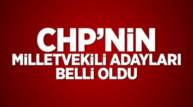 CHP'nin milletvekili adayları belli oldu