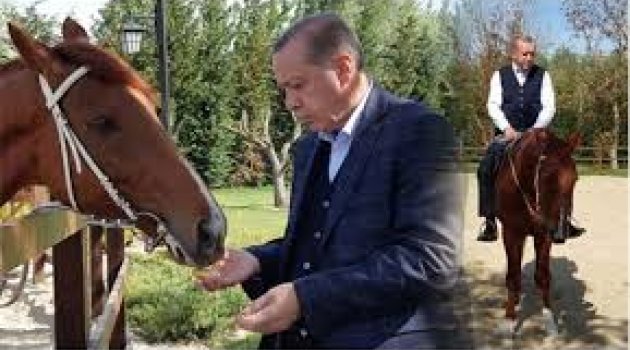 Cumhurbaşkanı Başdanışmanı bugün paylaştı