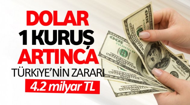 Dolar 1 kuruşluk artışın Türkiye'ye zararı!