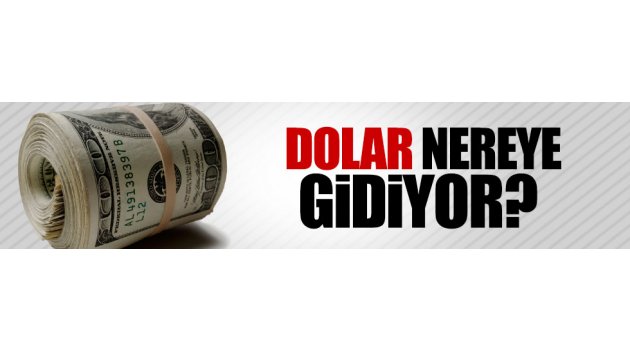 Dolar tarih yazıyor TL kıvranıyor