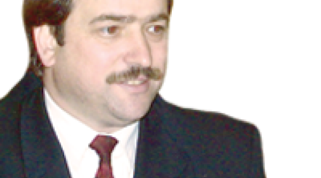 Domates ve siyaset