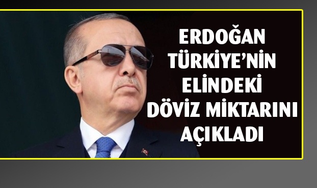 Erdoğan Türkiye'nin elindeki dolar miktarını açıkladı