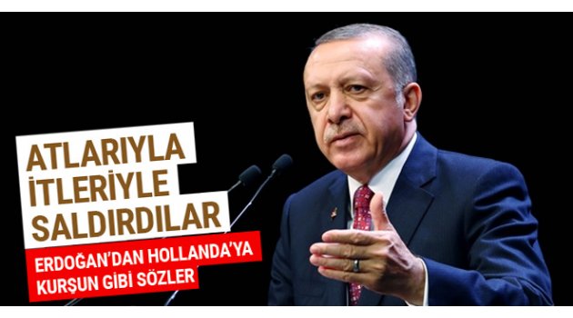 Erdoğan'dan AB'ye Hollanda uyarısı