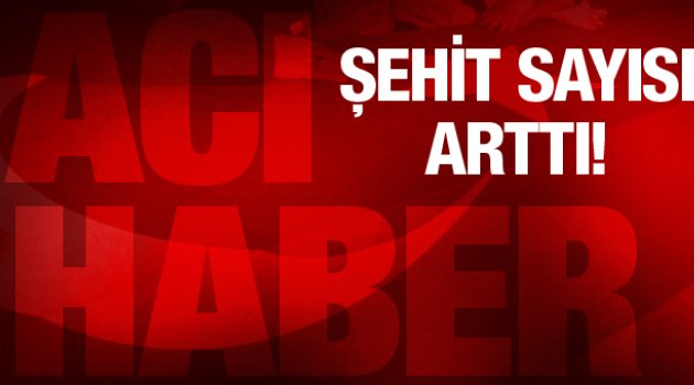 Hakkari ve Mardin'den acı haber şehit sayısı arttı!