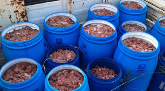 İlk iftar öncesinde 5 ton Domuz eti yakalandı