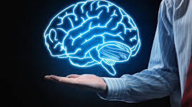İnsan beyni ilk defa internete bağlandı!