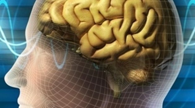 İnsan Beyni Niteliğinde Çip: Darwin