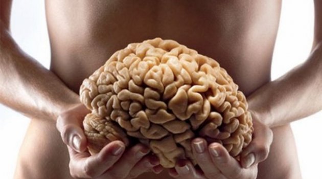 İnsandaki ikinci beyin nedir?
