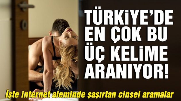 İnternet aleminde şaşırtan cinsel aramalar!
