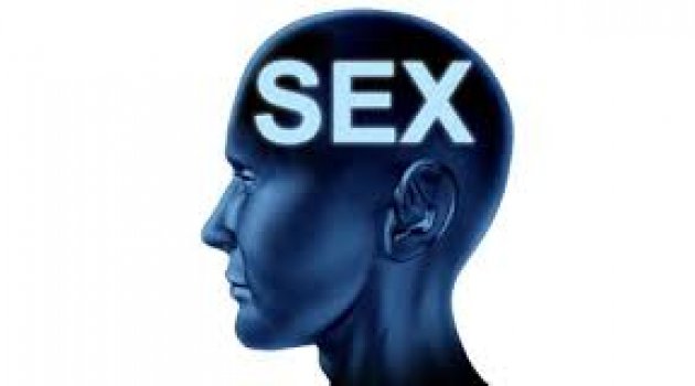İnternetteki porno sektörü hakkında gerçek bilgiler