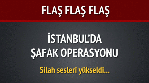 İstanbul'da terör örgütü operasyonu