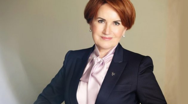 Meral Akşener'den Türkeş mesajı