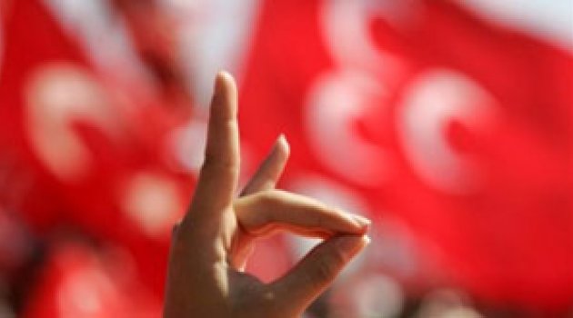 MHP'de muhalif tasfiyesi