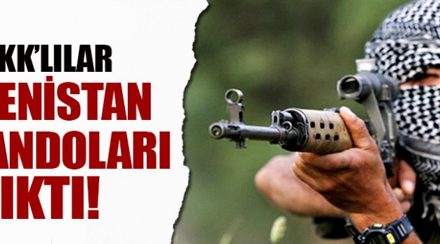 Öldürülen PKK'lılar Ermenistan komandoları çıktı!