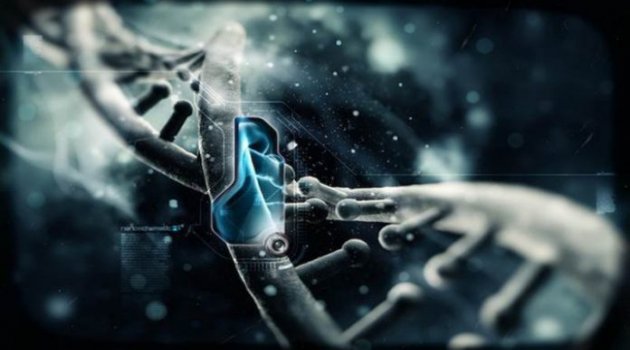 Ölümsüzlük Gerçekleşiyor Russia 2045 Projesi: Ruh Nakli