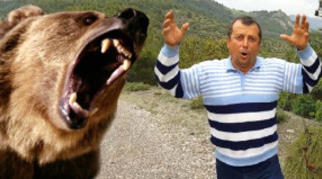 Sakaryalı Vatandaş 'Hoşt' Diyerek Ayıyı Kovalamak İstedi, Olmayınca Ormana Kaçtı
