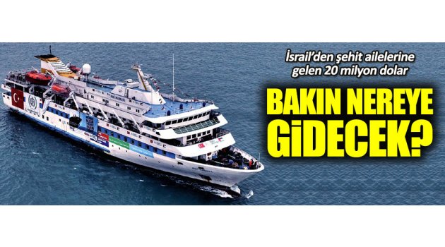 Şehit aileleri İsrail'den gelen tazminatı Filistin'e harcayacak