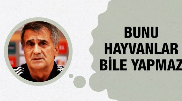 Şenol Güneş 'Bunu hayvanlar bile yapmaz'