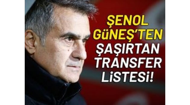 Şenol Güneş'ten şaşırtan transfer listesi!