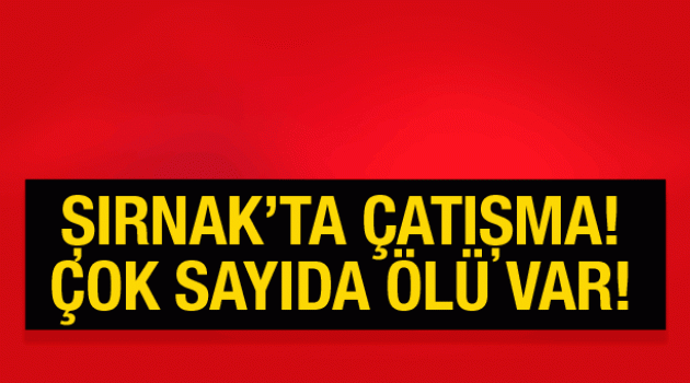 ŞIRNAK 'ın İdil ilçesinde PKK'lılarla güvenlik güçleri arasında çatışma çıktı.