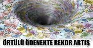 1.2 milyar lirayı örtülü yuttu