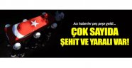 Siirt ve Hakkari'de çok sayıda şehit var!