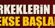 Erkekler hala başlamadınız mı...