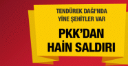Ağrı'dan yürek yakan şehit haberi!