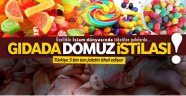 Gıdada domuz istilası!