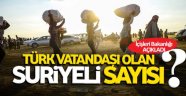 10 yılda 12 bin Suriyeli Türk vatandaşı oldu