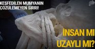 İnsan mı Cin mi yoksa...