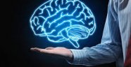 İnsan beyni ilk defa internete bağlandı!