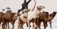 Botokslu develer güzellik yarışmasından ihraç edildi