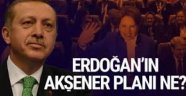 AK Parti'nin Meral Akşener planı!