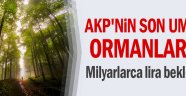AKP'nin son umudu ormanlar mı
