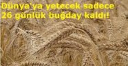 Dünya'ya yetecek 26 günlük BUGDAY kaldı