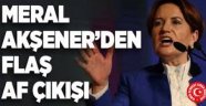 Akşener'den 'af teklifi' yorumu: Türkiye'yi sarsacak alanlar var