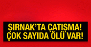 ŞIRNAK 'ın İdil ilçesinde PKK'lılarla güvenlik güçleri arasında çatışma çıktı.