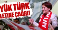 Akşener'den 'Büyük Türk milletine çağrı'