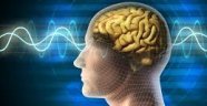 Araştırmacılar, düşünceleri beyinler arasında aktarmanın yolunu buldu