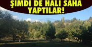 CHP, Anıtkabir'deki halı sahanın kaldırılması için 72 saat süre verdi